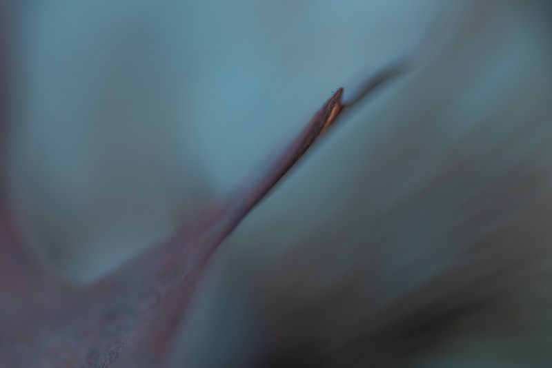 Een heel klein druppeltje