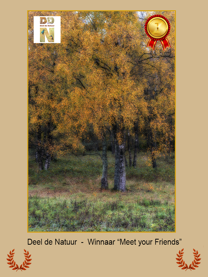 Meet your Friends Winnaar 2025 