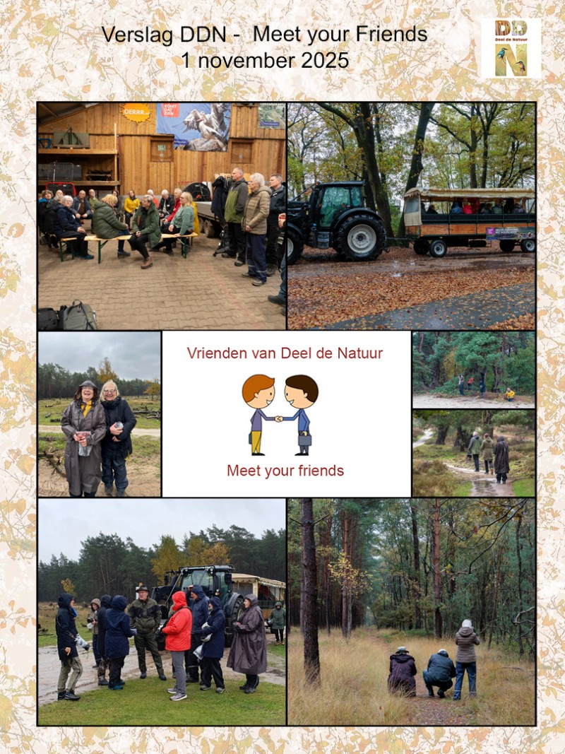 Verslag Meet your Friends 2025