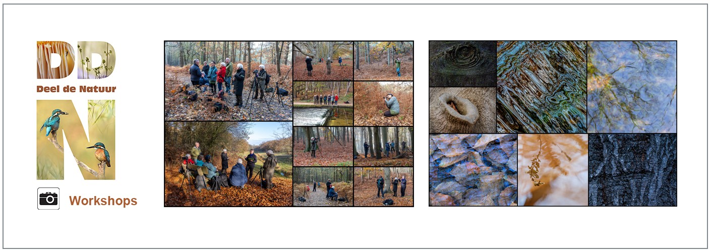 Verslag Workshop Anders kijken, anders doen