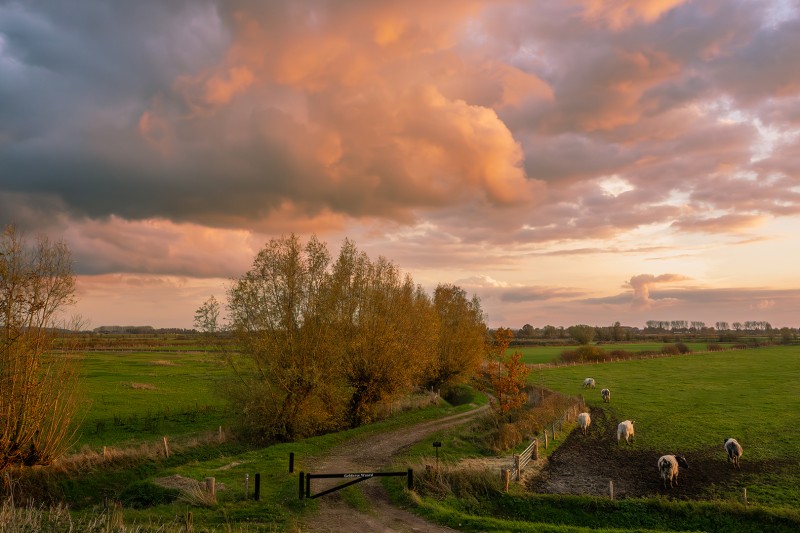 Herfstlicht in november
