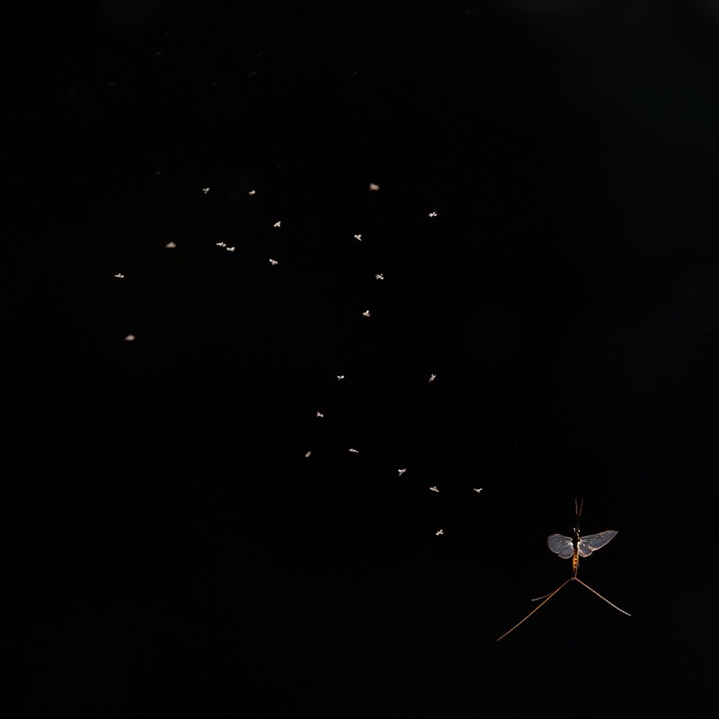 Dancing in the dark!