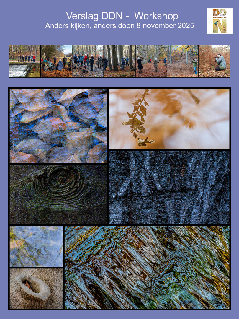 DDN Verslag Spotlight Anders kijken, anders doen 2025 