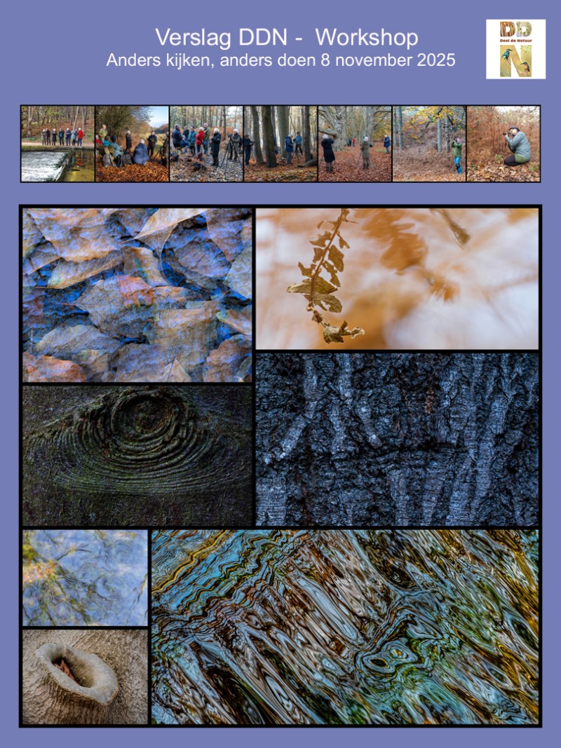Verslag Workshop anders kijken, anders doen