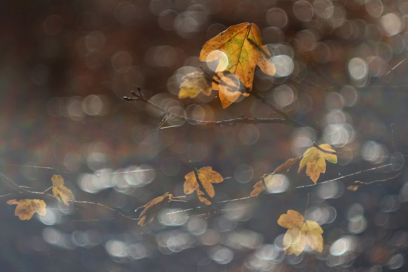 Oefening baart kunst