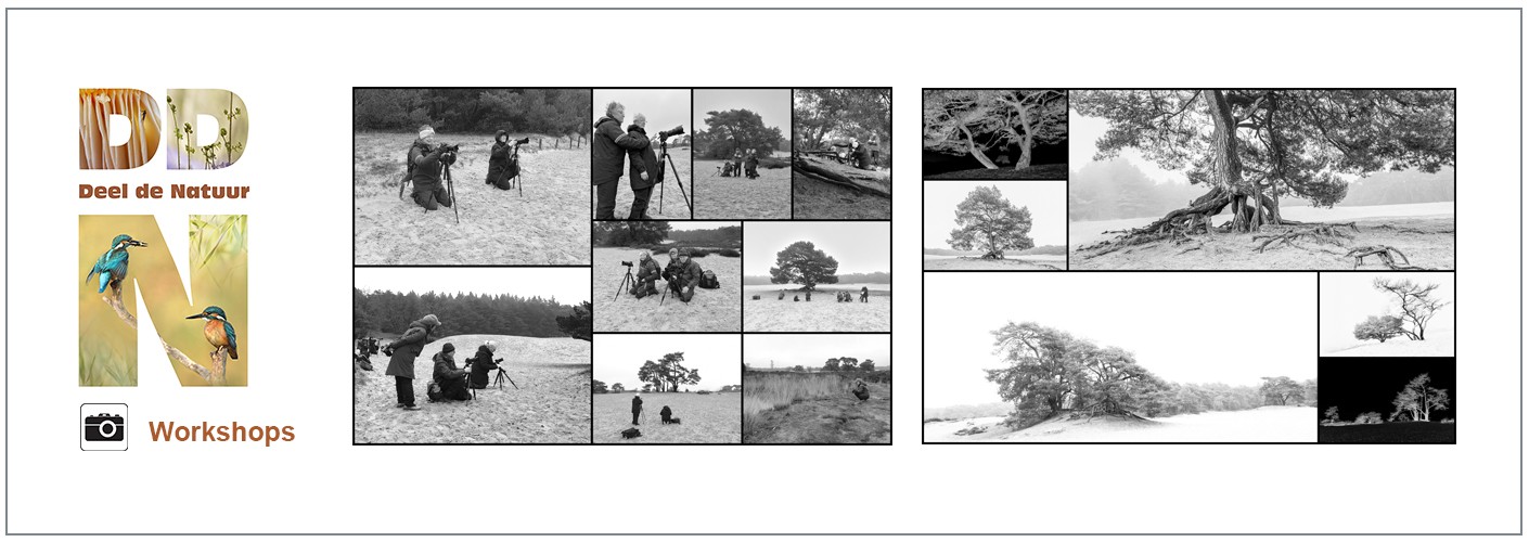 Verslag Workshop Back to black