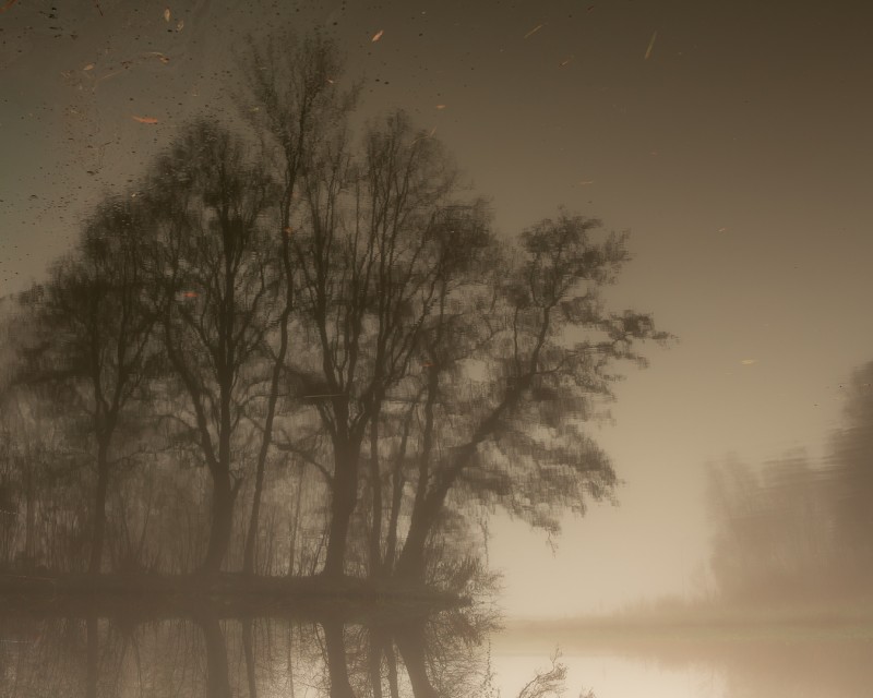 Illusie van de nacht