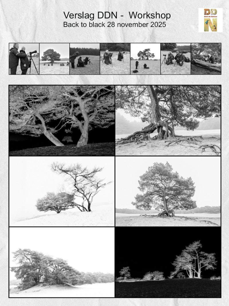 Verslag Workshop Backt to black