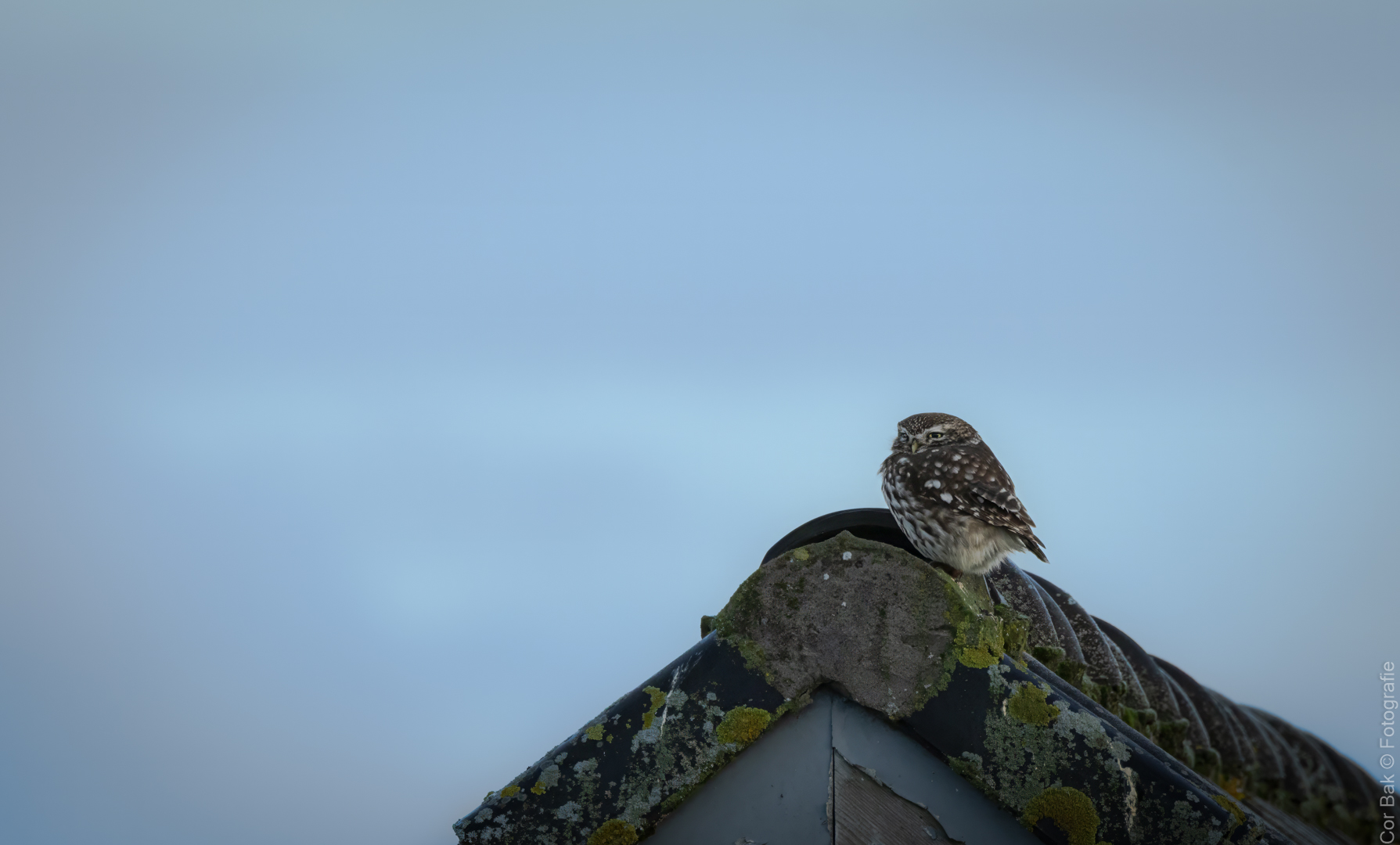 20251231-IMG_5790-bewerkt