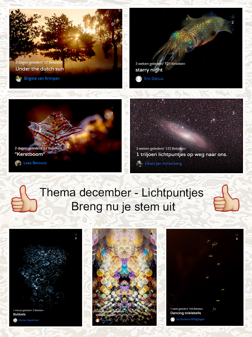 Maandthema Lichtpuntjes 2025 Stemmen 