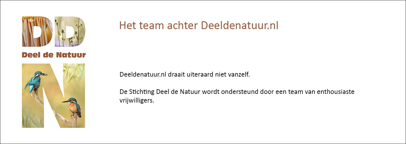 Het team achter Deel de Natuur