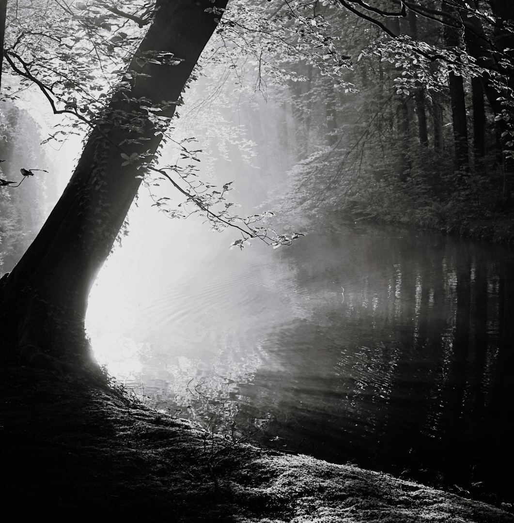 DSC03046 DDN Elswout 19052024 2