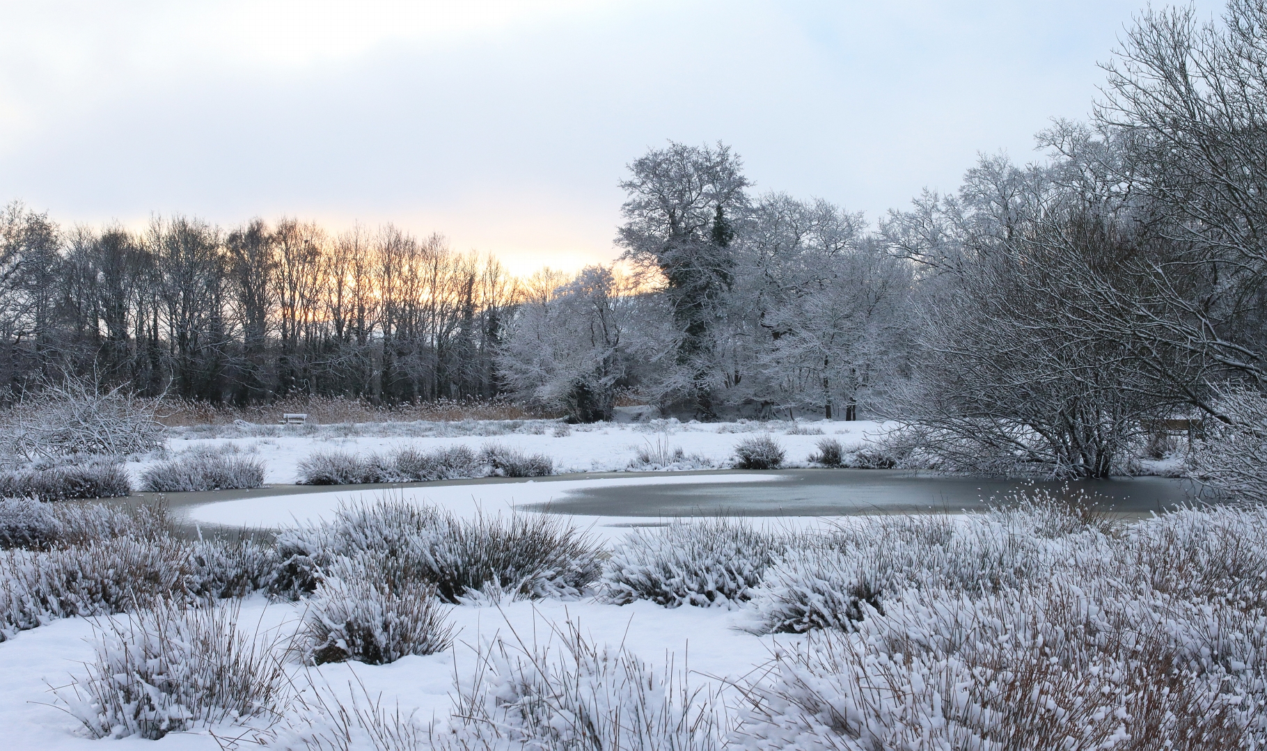 sized_IMG_3616_bewerkt-1DDN