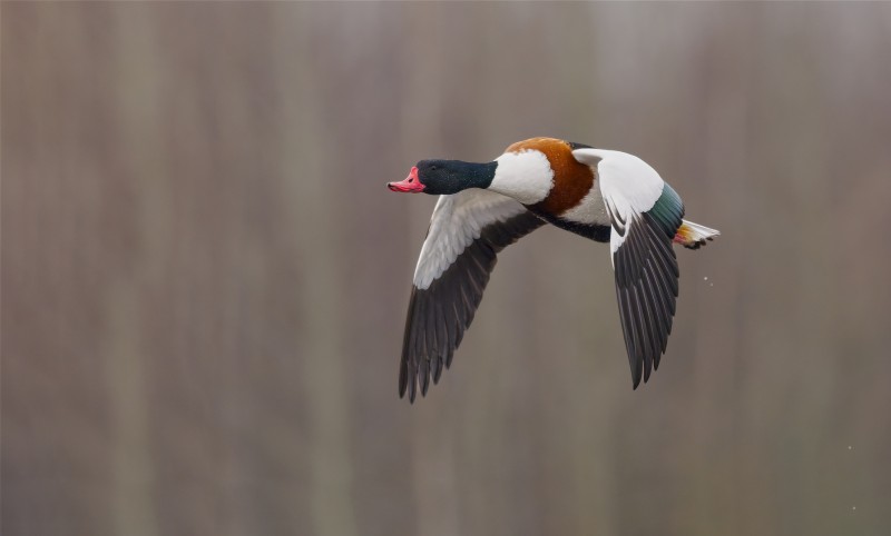 Genoeg gezien hier..