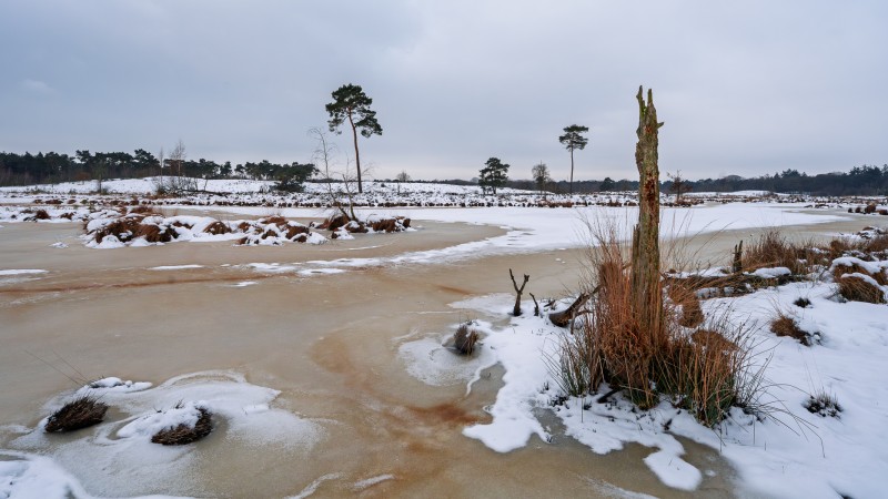 Het ijs geeft zich gewonnen.