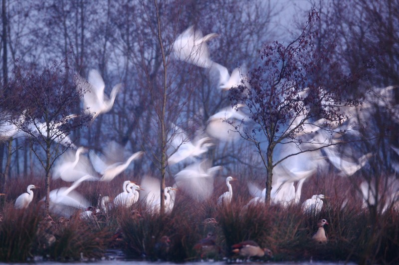 Maandwinnaar februari 2025 "Beweging"