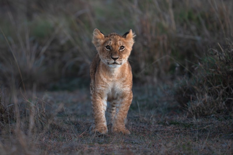 Zo klein, en toch al zo stoer