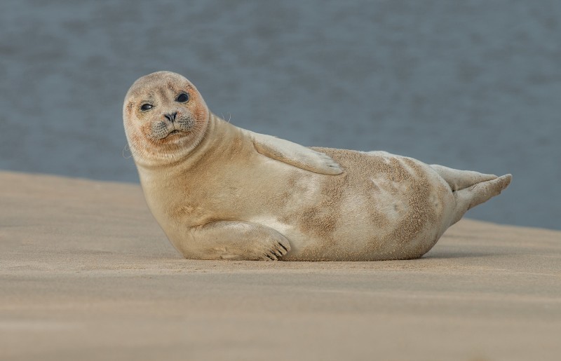 Even wat oefeningen doen