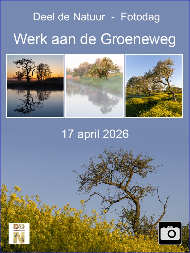 Fotodag Werk aan de Groeneweg