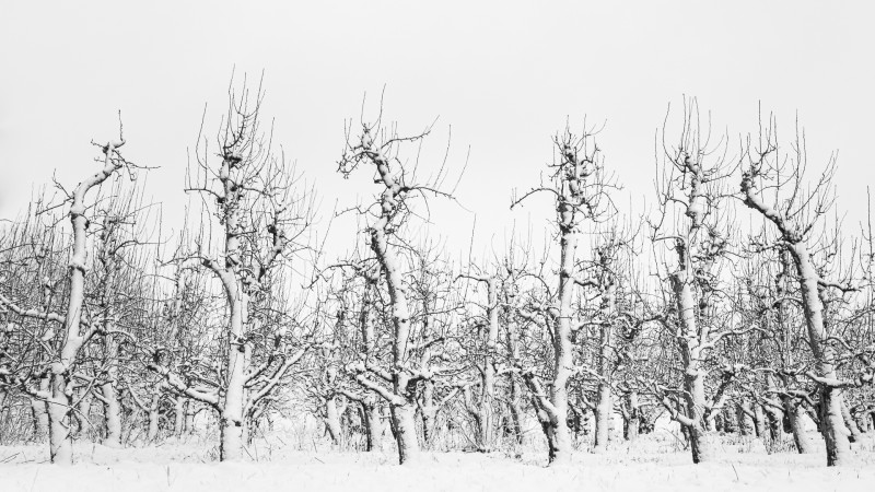 Sterk door verbondenheid