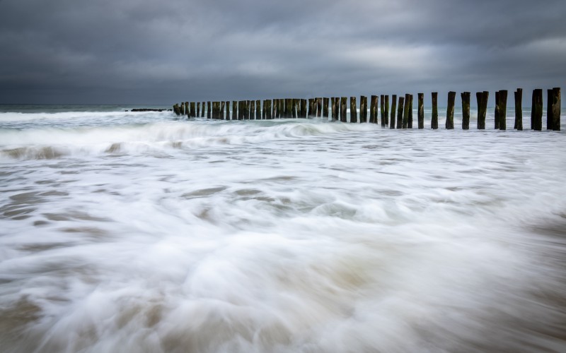 Schuimkoppen in beweging