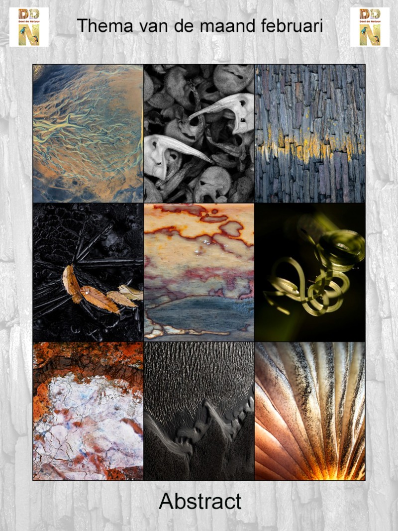 Thema van de maand februari "Abstract"