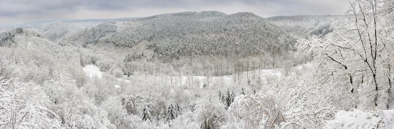 Winter in de Ardennen