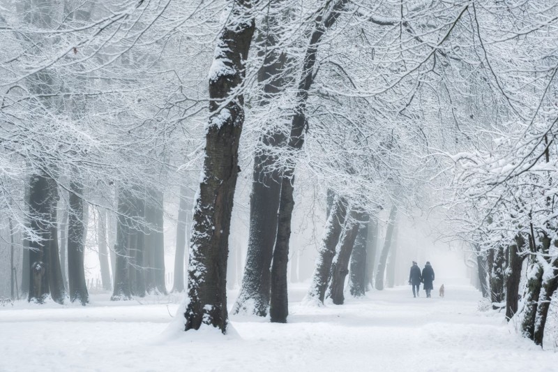 Wandelen in de sneeuw