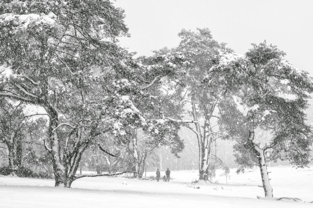 DSCF6526-bewerkt.kl.DDN