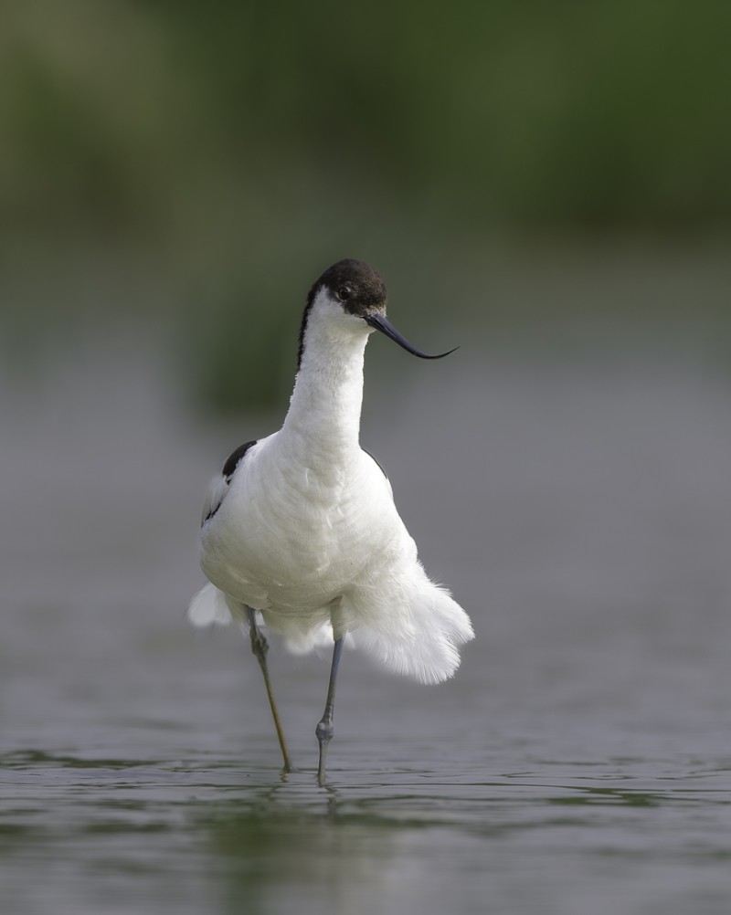 Zie mij eens mooi zijn!