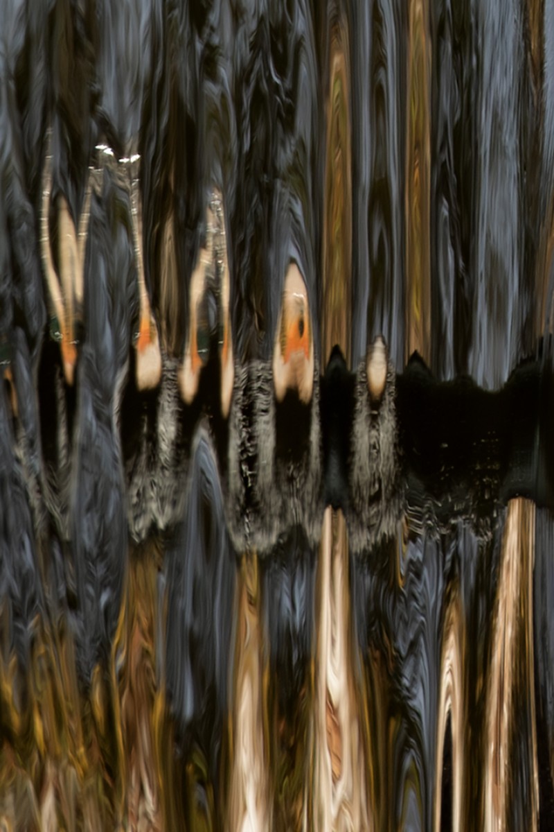 What you see is what you get