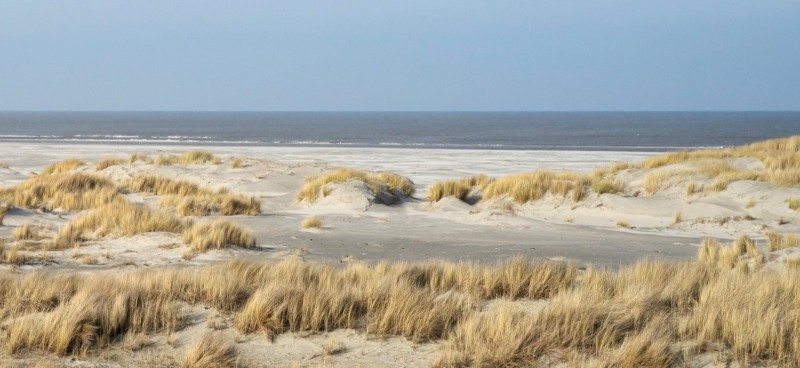 Zeegezicht in de winter