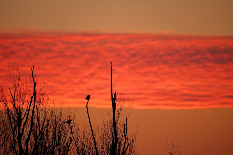 Kijken naar de zonsopkomst.