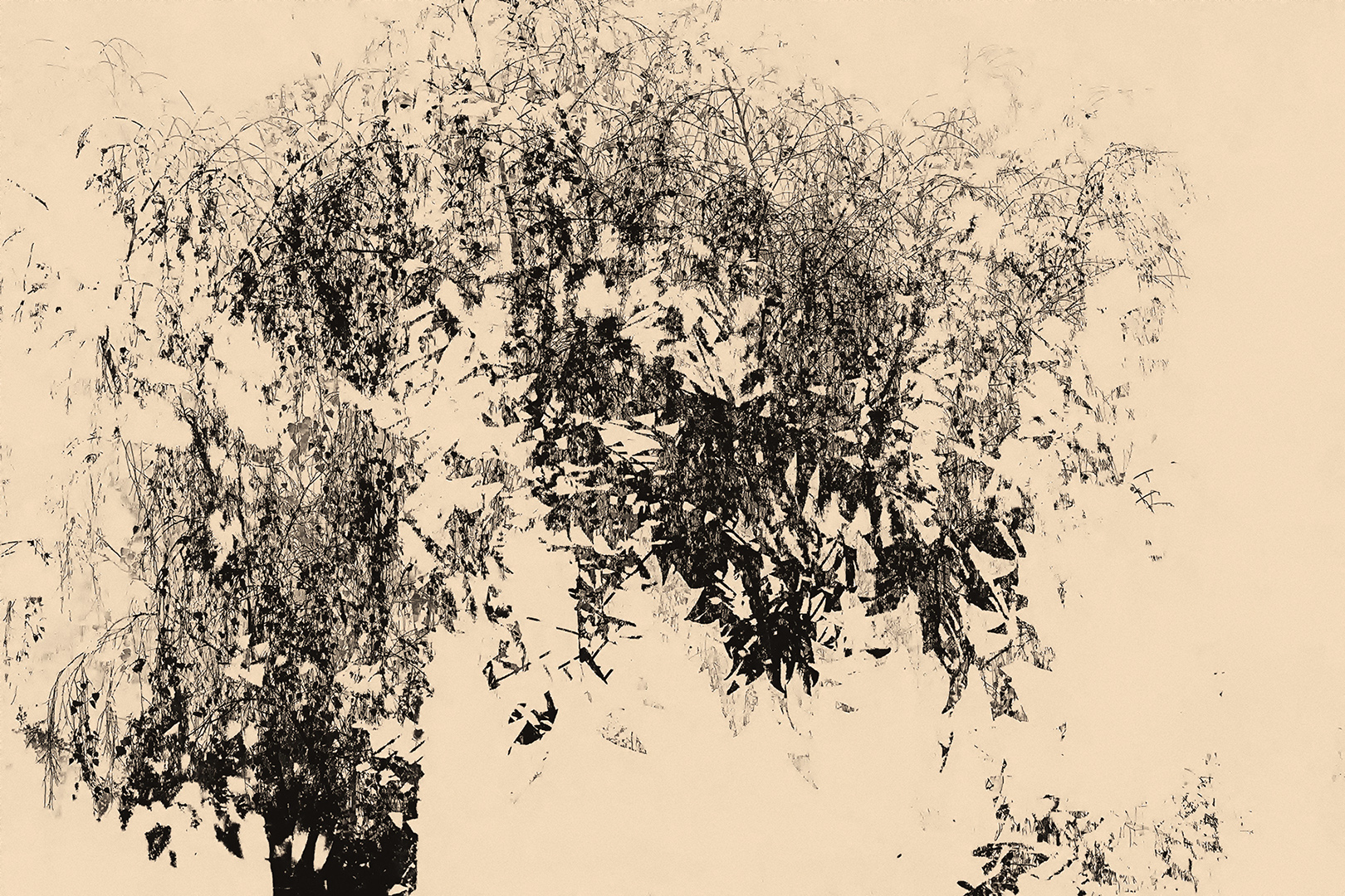 7460-2 Ruwe berk mv. 2021-10-18 Bw-nv - rs 1620