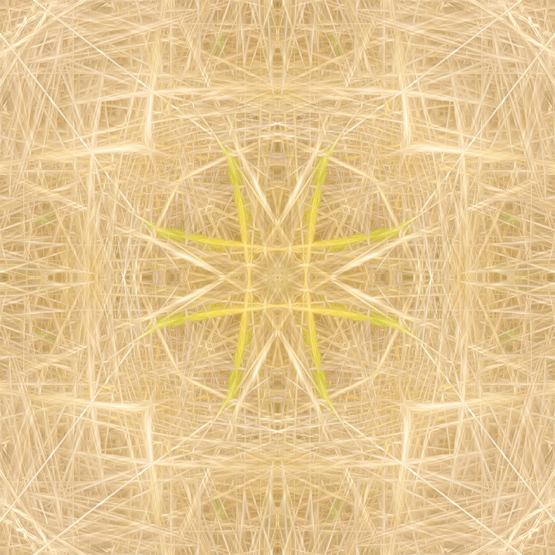 IMG_2690 corr v2 sRGB 1080PX