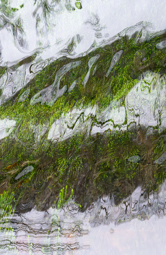 Reflectie - Deel de Natuur - Loes Belovics