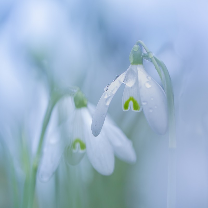 Bedruipt door de regen.