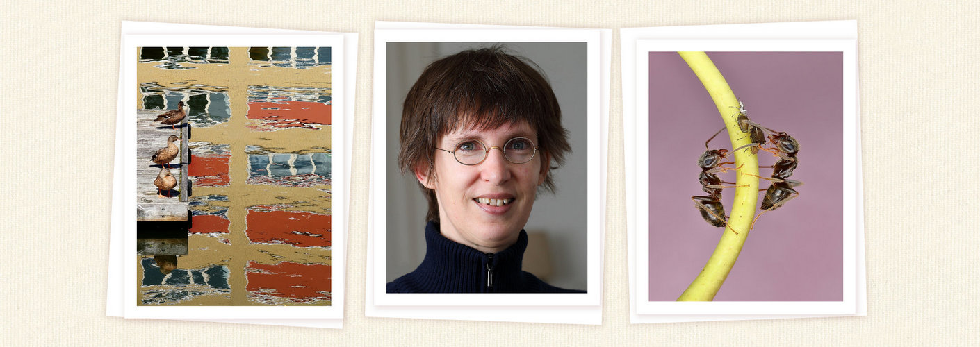 Portfolio Sophie Mijnhout