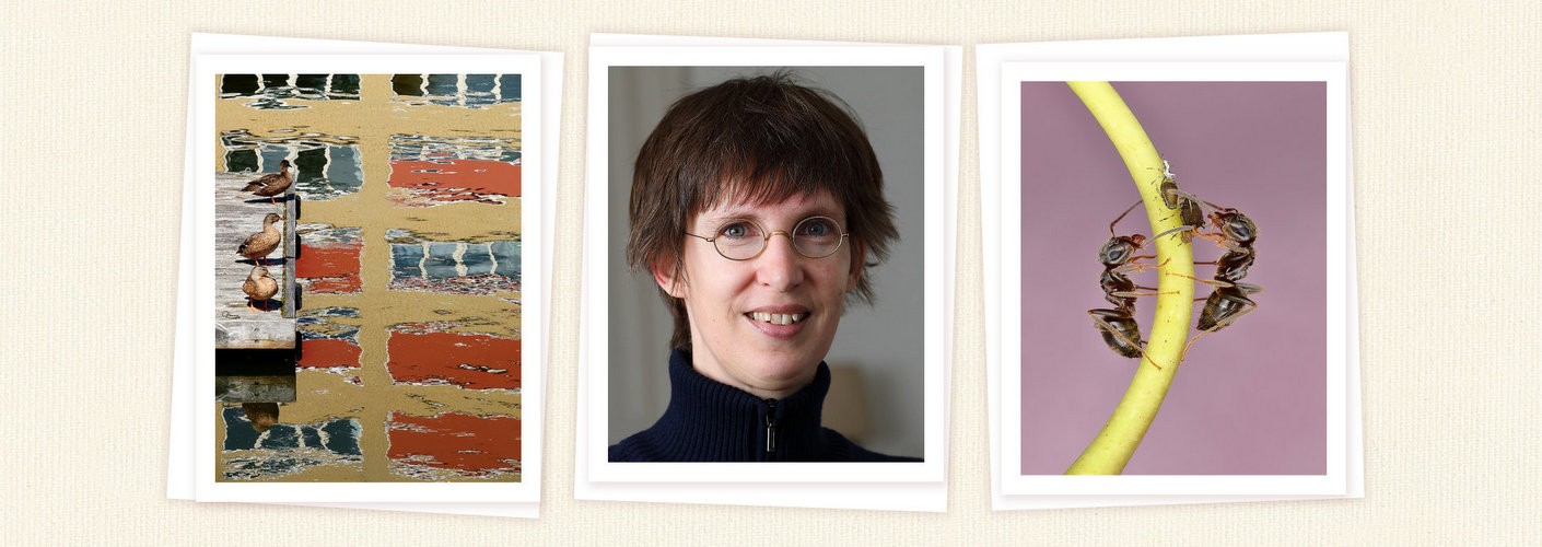 Portfolio Sophie Mijnhout