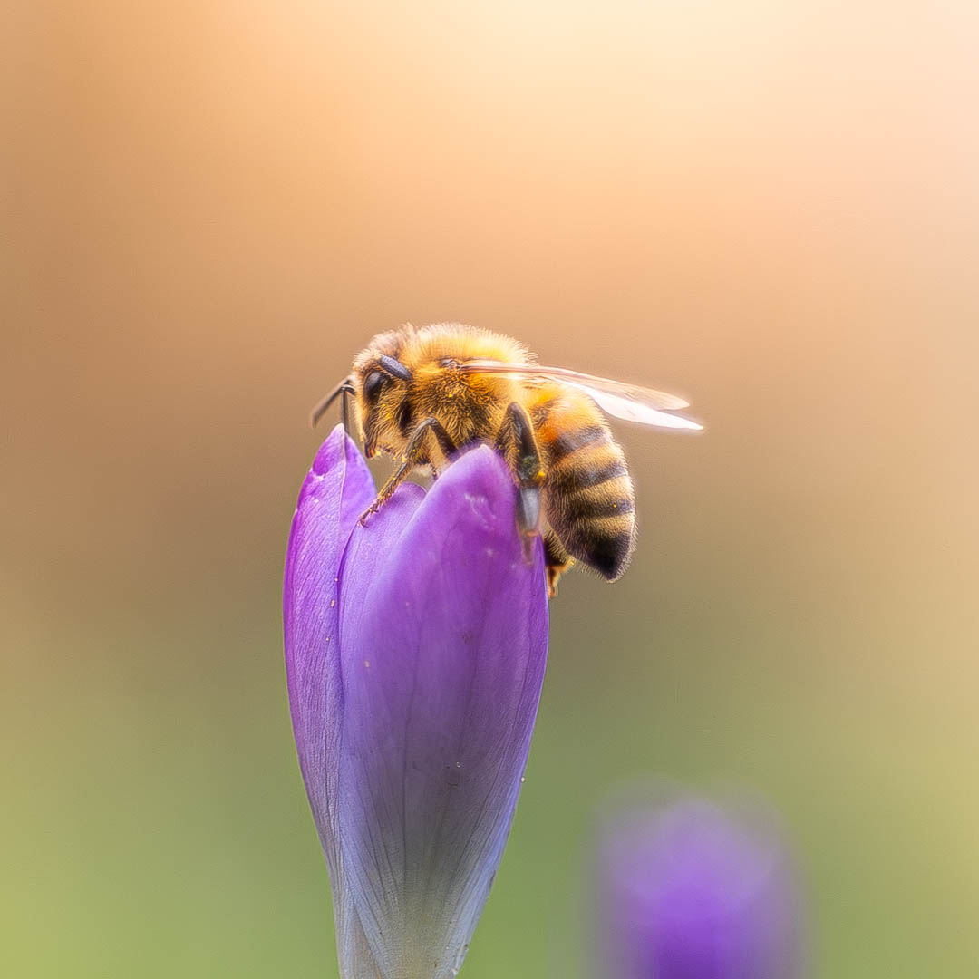 6C3A1710-4-Verbeterd-NR-2