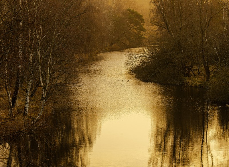 Struinen door de duinen
