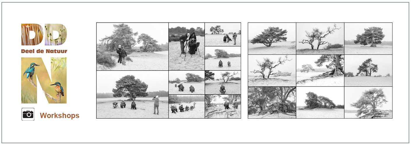 Verslag Workshop Back to black