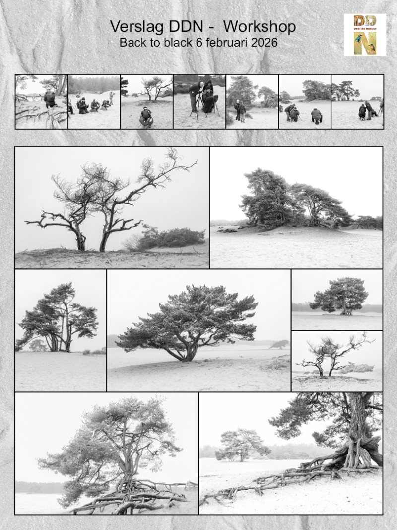 Verslag Workshop Back to black