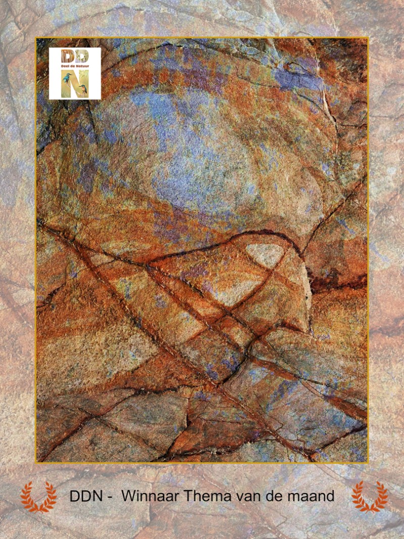 Winnaar maandthema februari "Abstract"