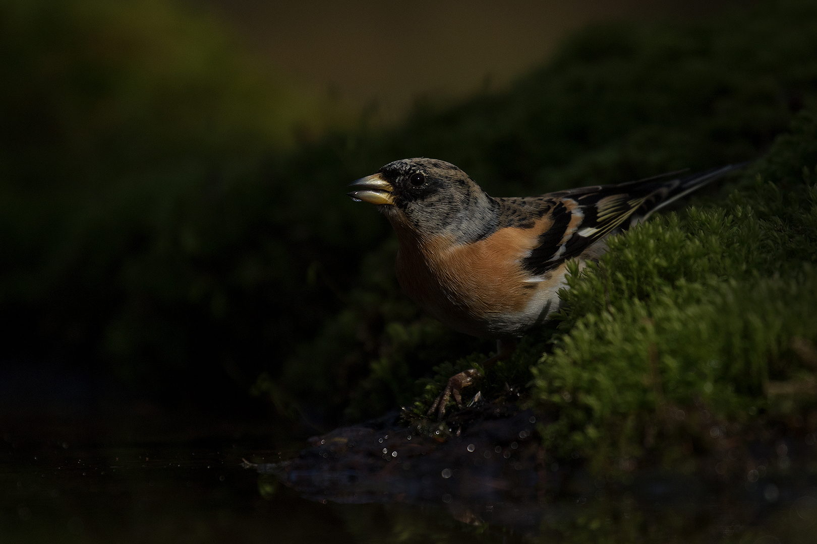 Keep-man omg. Lochem _MG_1482