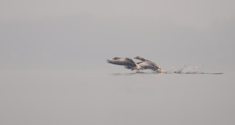 We gaan maar weer...