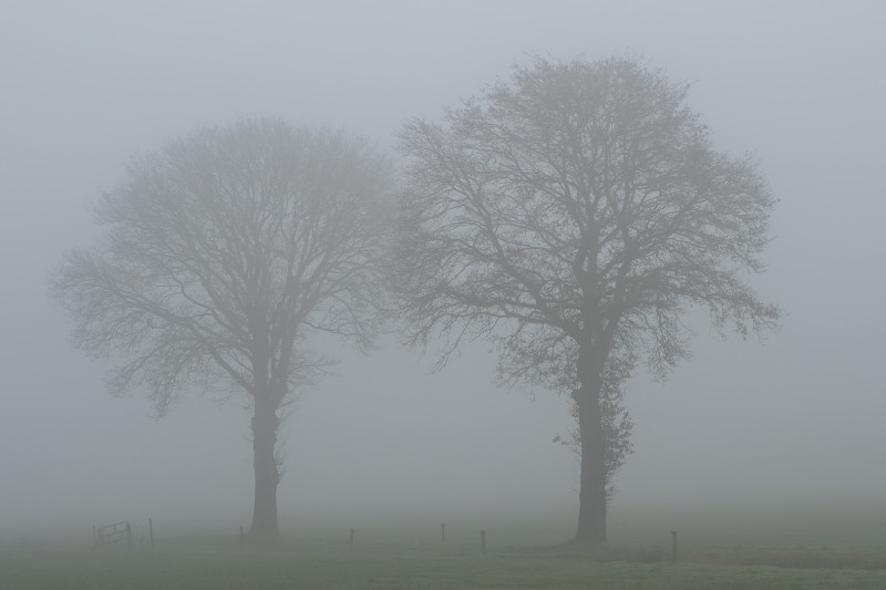 Duo in de mist