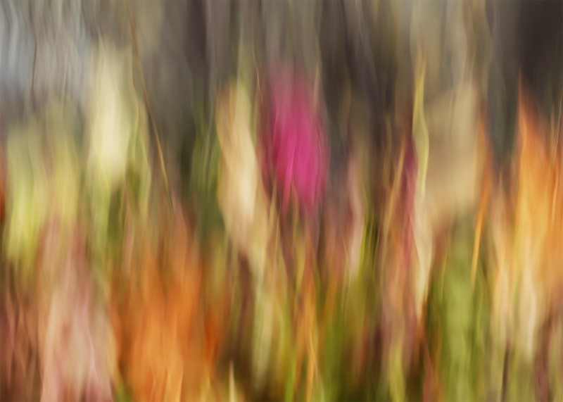 40 jaar trouwe dienst