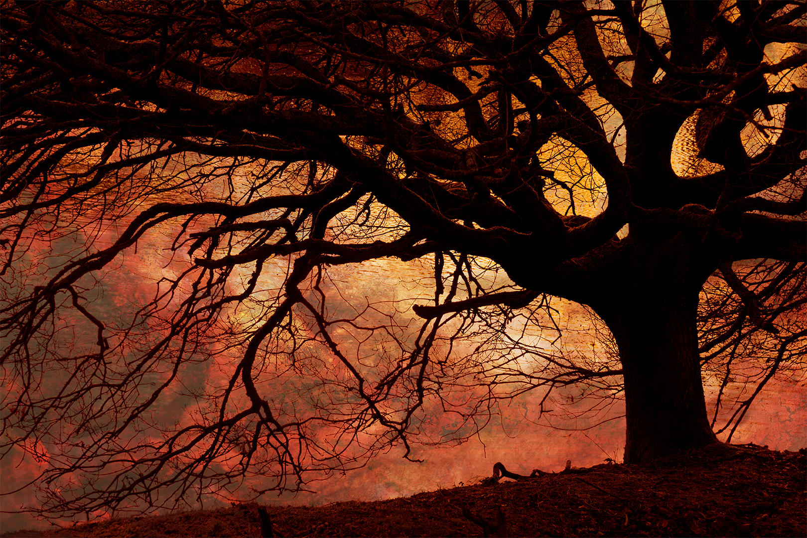 IMG_2465 corr 1080PX sRGB