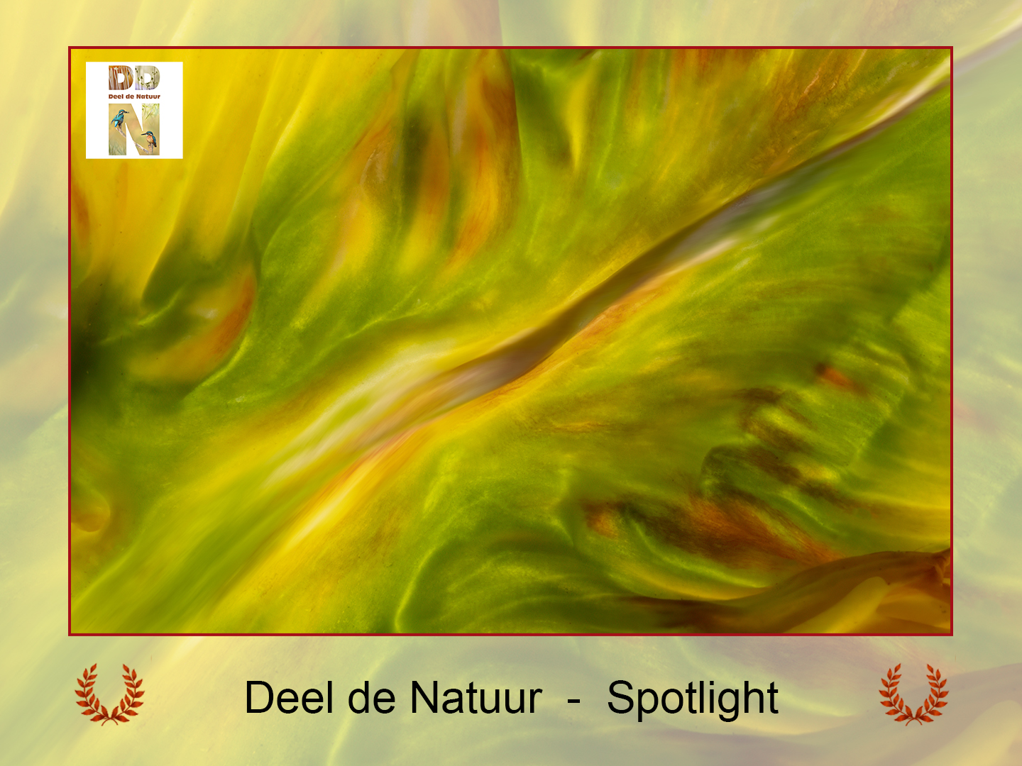 DDN Spotlight 16-03-2026